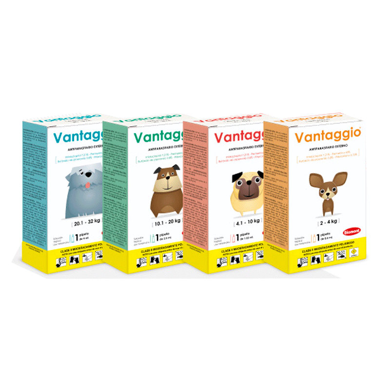 vantaggio
